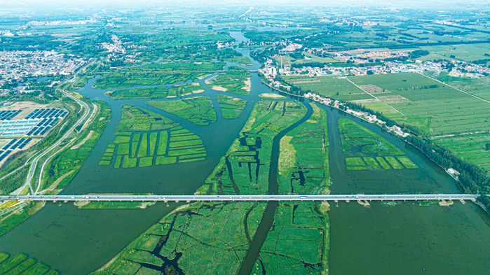 온라인 카지노 게임 종류